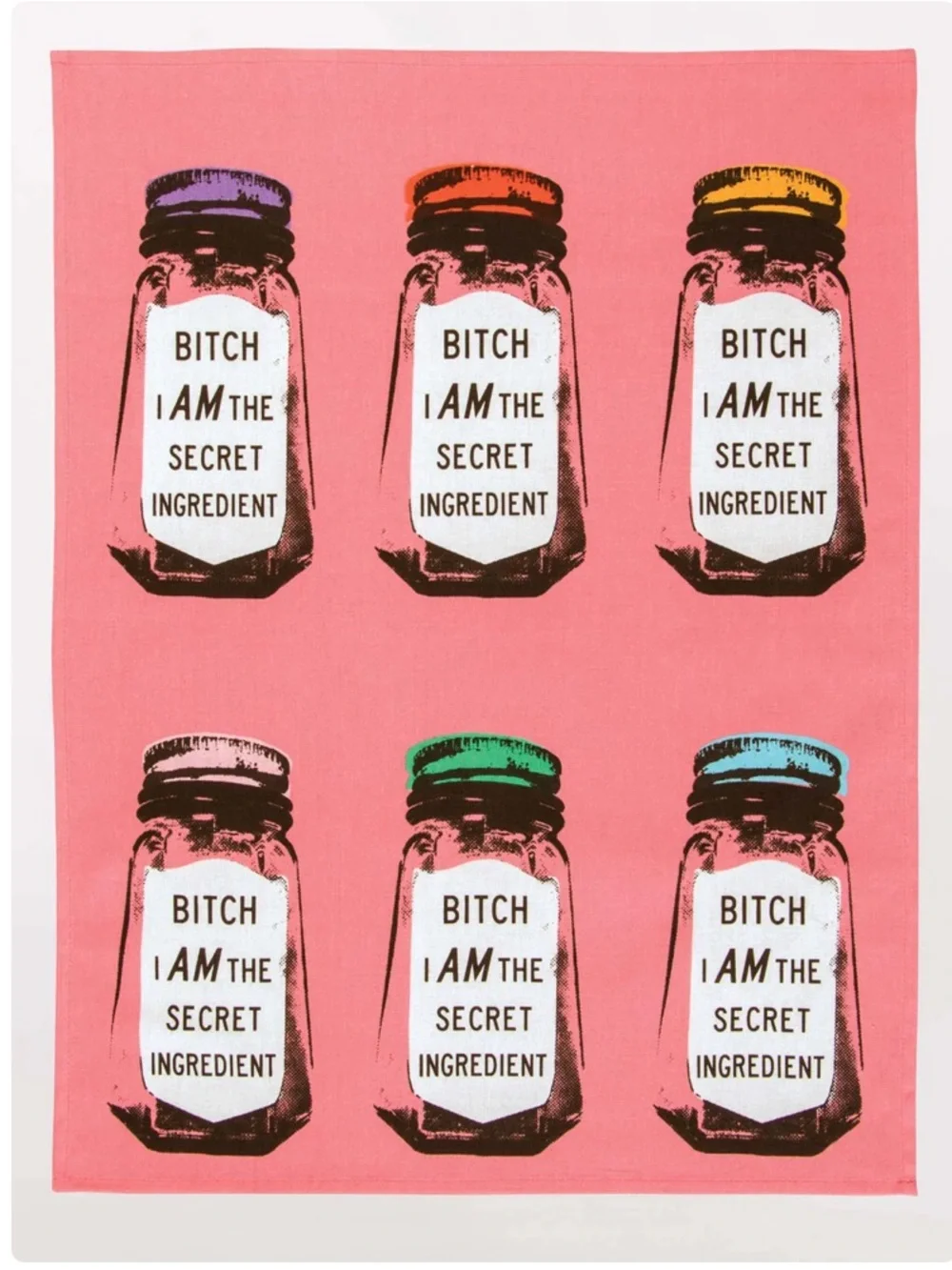Blue Q Dish Towel “B**** I Am The Secret Ingredient “, 100% Cotton , 21”x28” NWT